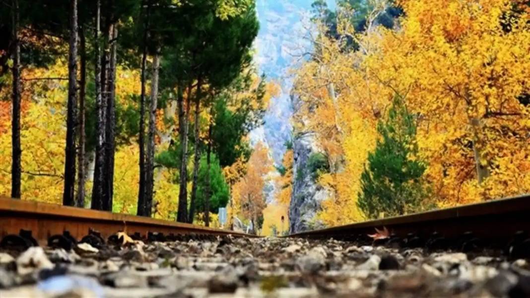 Asırlık Çınarların Altında Masal Diyarı: Adana'da 'Zamanın Durduğu Yer' 5